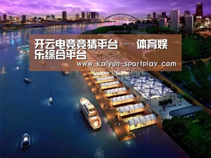 案例展示八