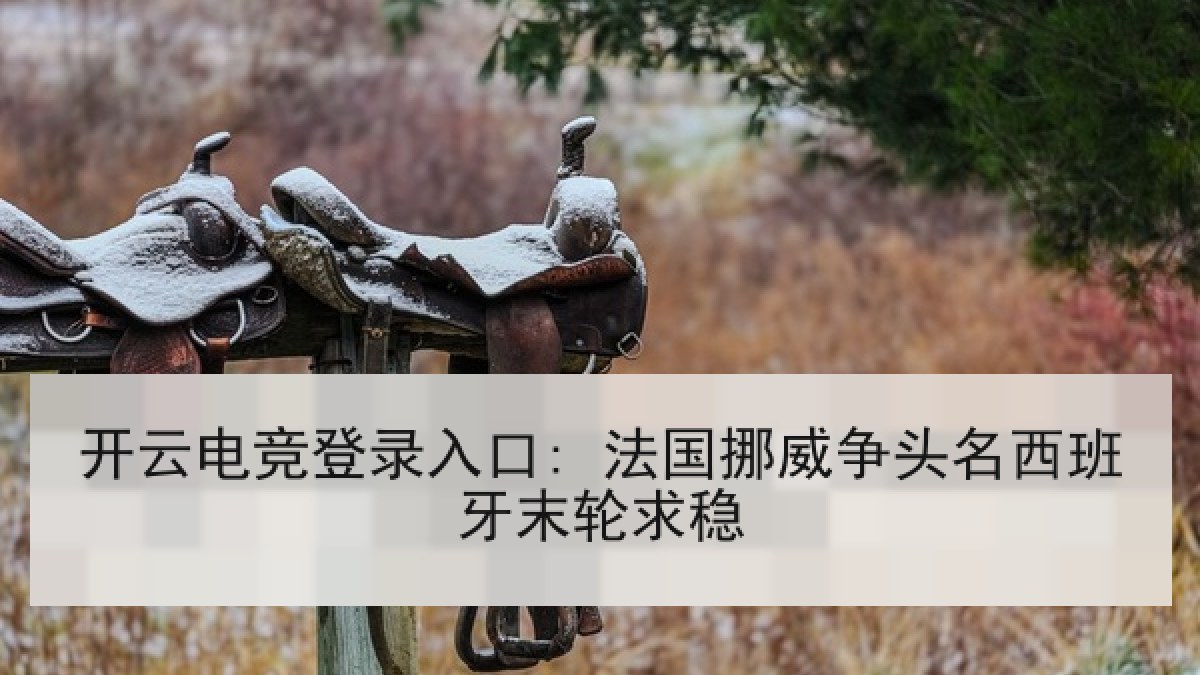 开云电竞登录入口: 法国挪威争头名西班牙末轮求稳