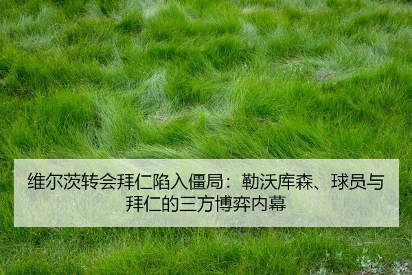 wei-er-ci-zhuan-hui-bai-ren-xian-ru-jiang-ju-lei-wo-ku-sen-qiu-yuan-yu-bai-ren-de-san-fang-bo-yi-nei-mu-3-901.jpg