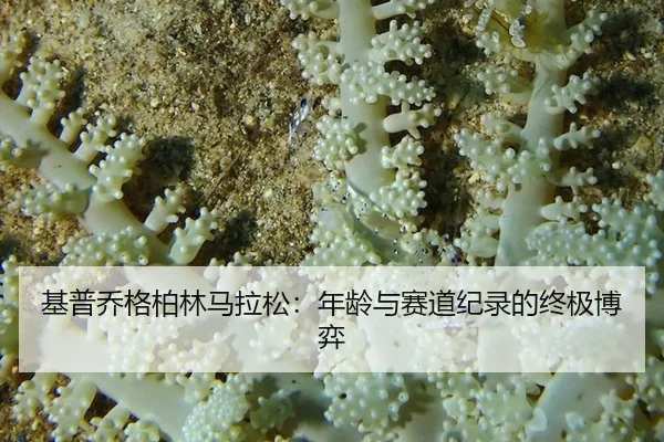 基普乔格柏林马拉松：年龄与赛道纪录的终极博弈