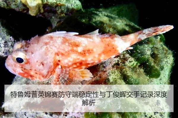 特鲁姆普英锦赛防守端稳定性与丁俊晖交手记录深度解析