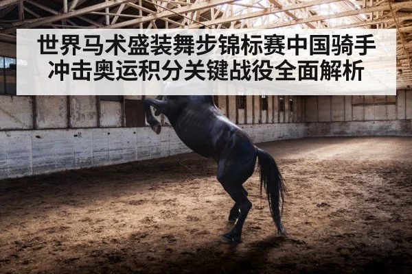 世界马术盛装舞步锦标赛中国骑手冲击奥运积分关键战役全面解析