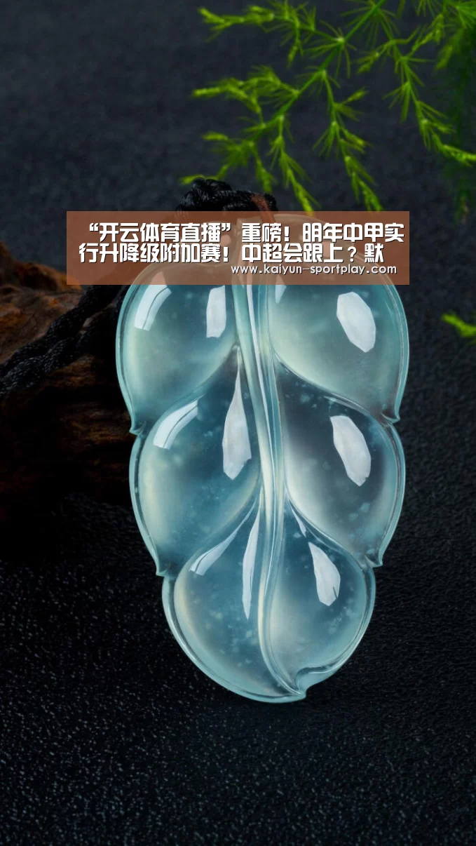 “开云体育直播”重磅!明年中甲实行升降级附加赛!中超会跟上?默契球会变少吗?(图1) 开云体育直播