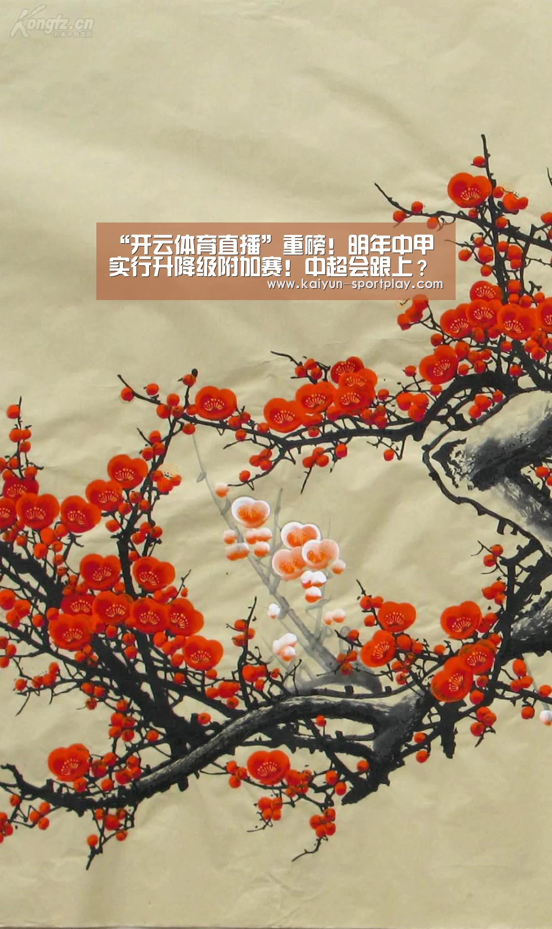 “开云体育直播”重磅!明年中甲实行升降级附加赛!中超会跟上?默契球会变少吗?(图3) 开云电子游艺