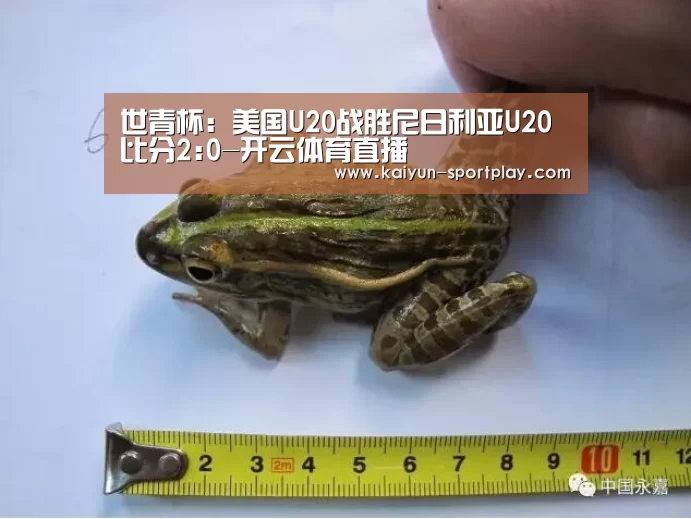 开云体育直播