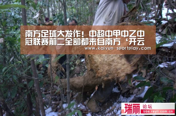 南方足球大发作!中超中甲中乙中冠联赛前二全部都来自南方‘开云体育直播’(图1) 开云电子游艺